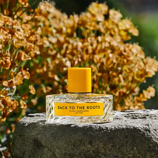 Vilhelm "Back To The Roots" - immagine 2