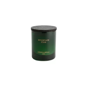 Cereria Mollá 1899 - Candela "Mountain Pine " - 230 gr